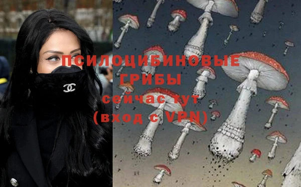 mdpv Алзамай