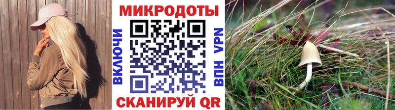 Псилоцибиновые грибы мухоморы  как найти закладки  блэк спрут зеркало  Саянск 